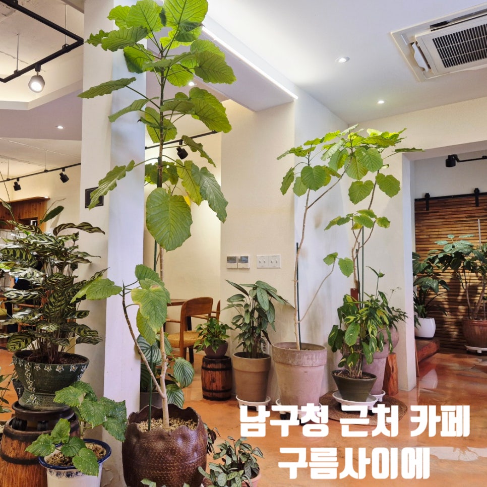 구름사이에 사진 1