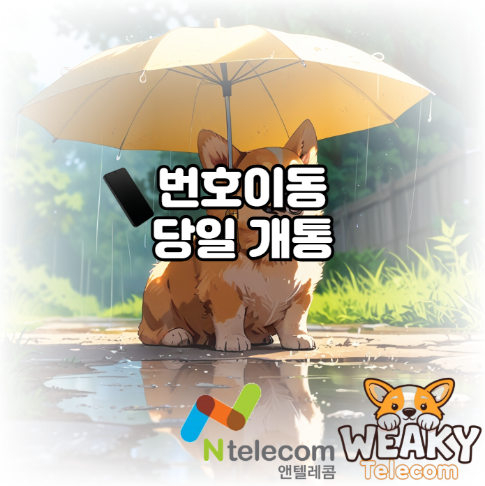  알뜰폰 번호이동 당일개통을 원한다면? 직접 휴대폰을 개통하세요!