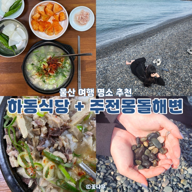  내돈내산 풍자또간집 울산 3대 돼지 국밥 맛집 하동식당 + 울산 여행 명소 추천 주전 몽돌 해변