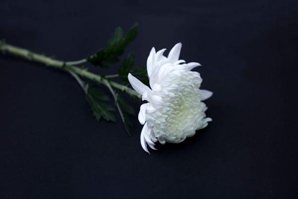무연고자 공영장례, ‘남의 일’ 아닌 우리 모두의 이야기 무연고자 공영장례, ‘남의 일’ 아닌 우리 모두의 이야기