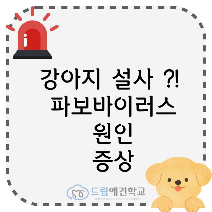  강아지 파보바이러스 원인과 증상 예방법 알아보자