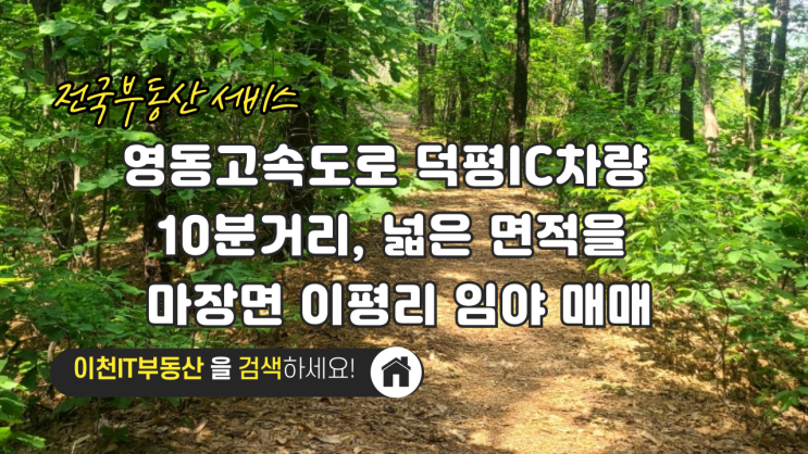  영동고속도로 덕평IC차량 10분거리, 넓은 면적을 자랑하는 마장면 이평리 임야 매매 - 이천IT부동산 [투자 분석 완벽 정리]