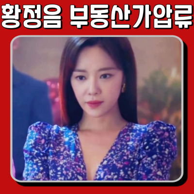  황정음 부동산, 전 남편 청구로 18억 가압류 조치