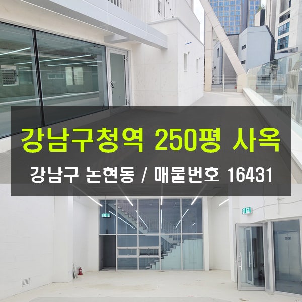  강남구청역사옥 임대 250평 논현동 테라스 사옥 엔터사옥 디자인사옥