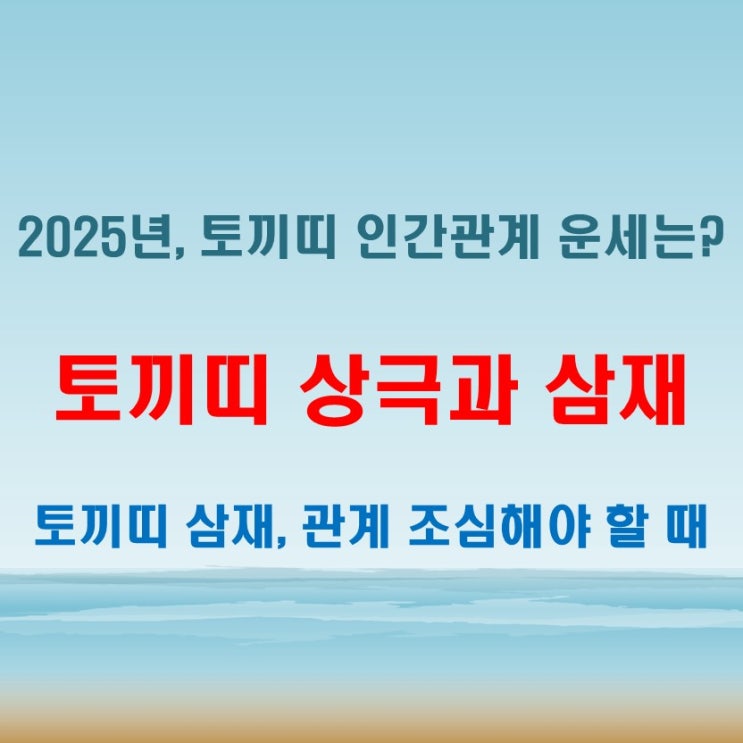  2025년 토끼띠 삼재운과 상극띠로 보는 인간관계 유의점