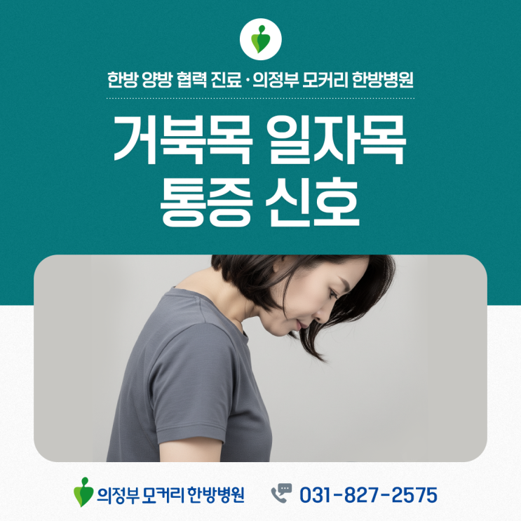 의정부 모커리한방병원 일자목·거북목으로 생기는 통증 신호