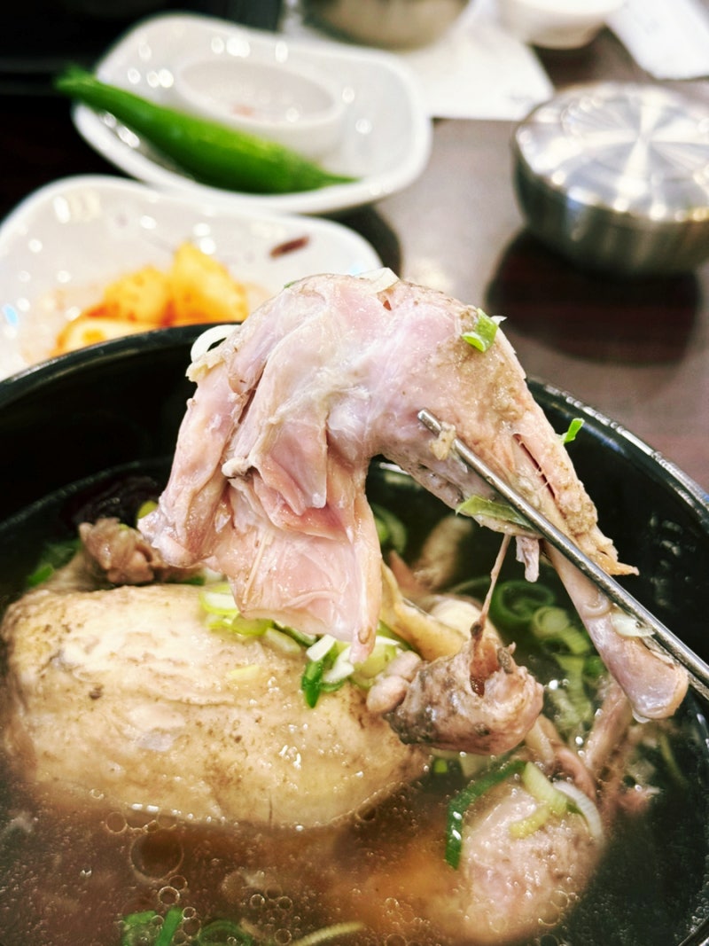 대구능이백숙 달서구 성서 블루리본맛집 성서 제1능이버섯 능이백숙