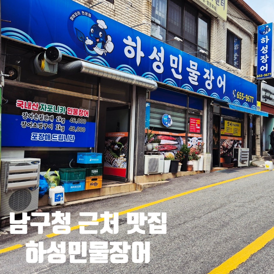 하성장어 사진 2