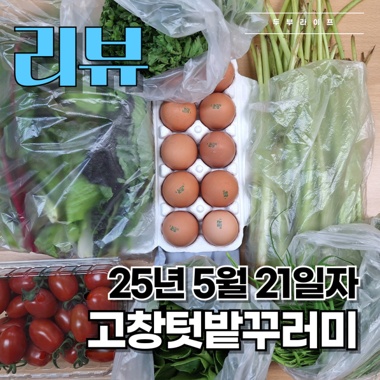  [리뷰] 고창텃밭꾸러미 후기 (25년 5월 21일자)