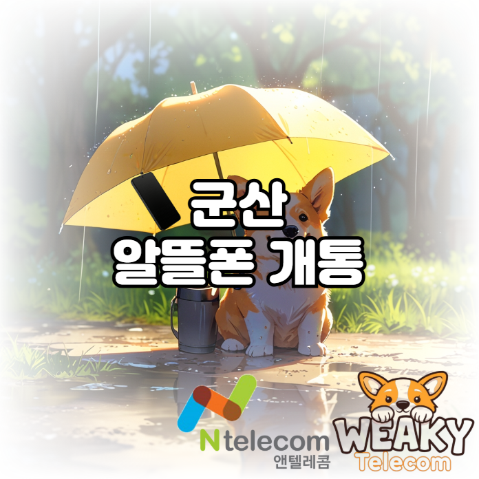  군산 알뜰폰 개통 대리점이 어딨는지 잘 모르겠다면?