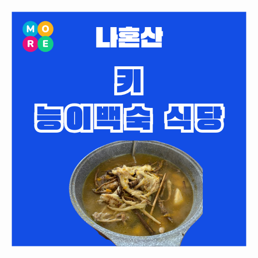  나혼산 키 능이백숙 식당 맛집 위치 강원도 양양 주소는 어디? 나혼자산다