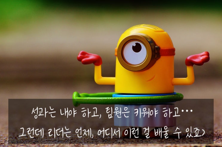  [공지]  성과관리를 위한 1on1 미팅, 피드백, 성과 면담, 제대로 하는 법!