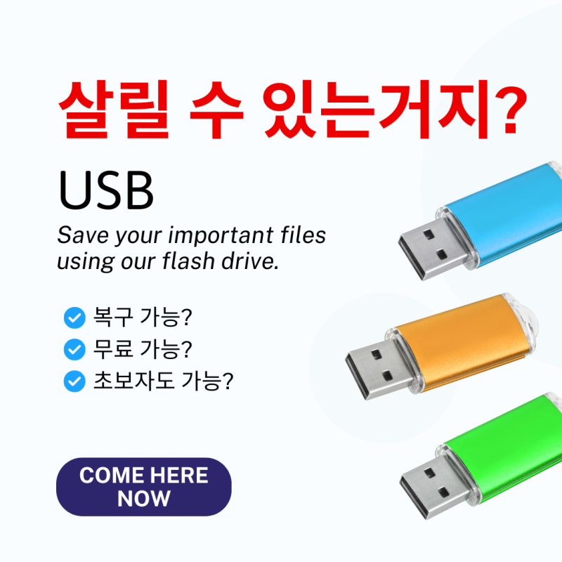 USB 삭제 파일 복구 완전 정리: 포맷·복원·무료 수리·비용 없이 가능할까?