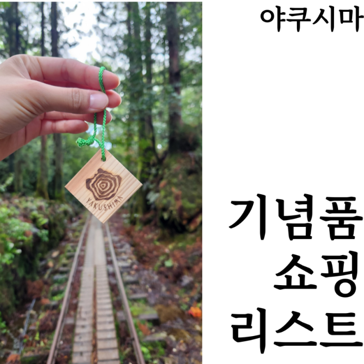  [웰니스여행/야쿠시마]기념품 살만한곳 타케다칸 야쿠시마 쇼핑리스트