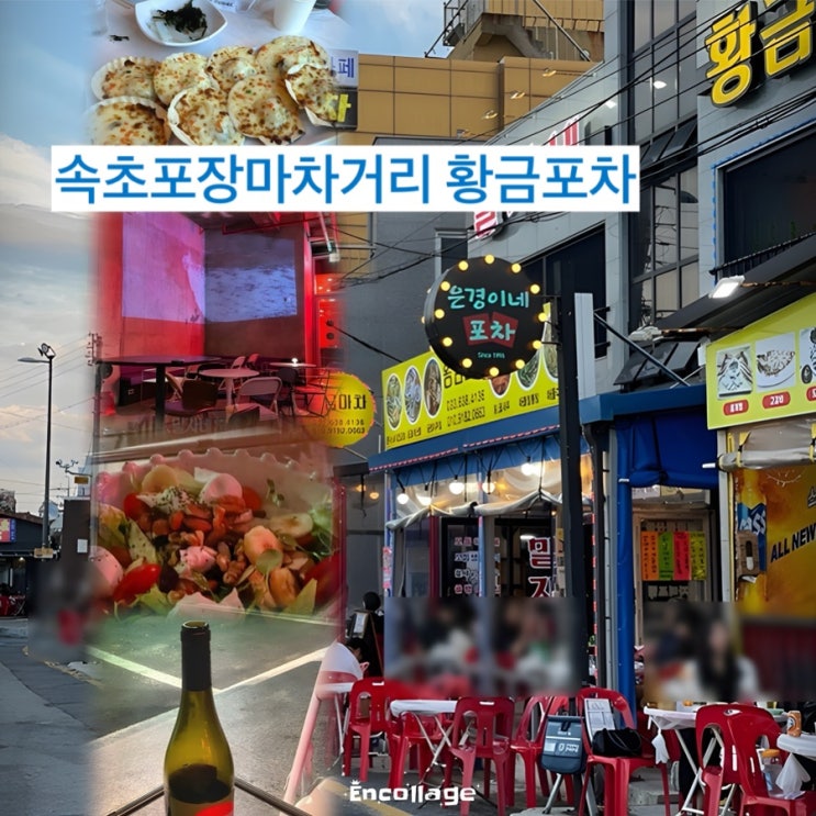  속초 여행 빠질 수 없는 포장마차거리 술집 추천 황금마차 그리고 2차  와인바 무니
