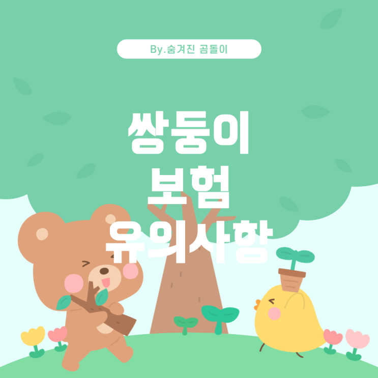  쌍둥이 출생 시 보험 가입 시 유의사항