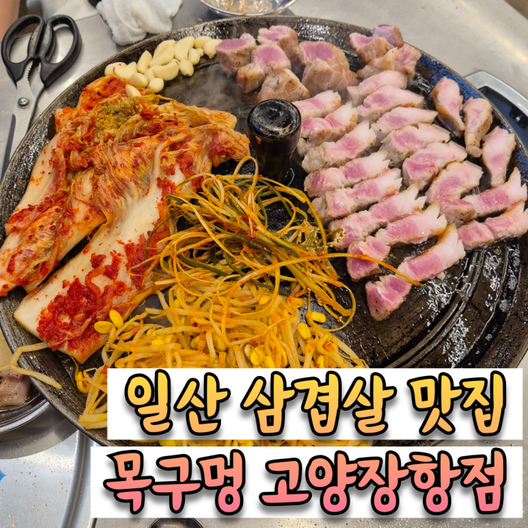 항상 맛있게 먹는 촉촉하이 직이는 통통한 솥뚜껑삼겹살 맛집 [목구멍 고양장항점]