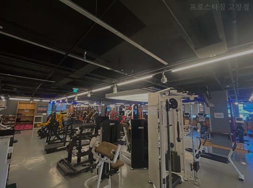 프로스타짐 사진 4