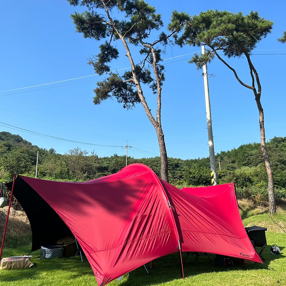 솔내음물댄동산 사진 6