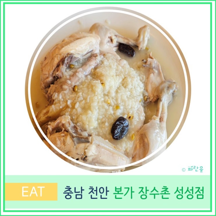  천안 누룽지 닭백숙 맛집 본가 장수촌 성성점 솔직 후기