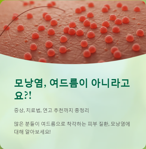  모낭염 증상, 치료, 모낭염 연고 추천