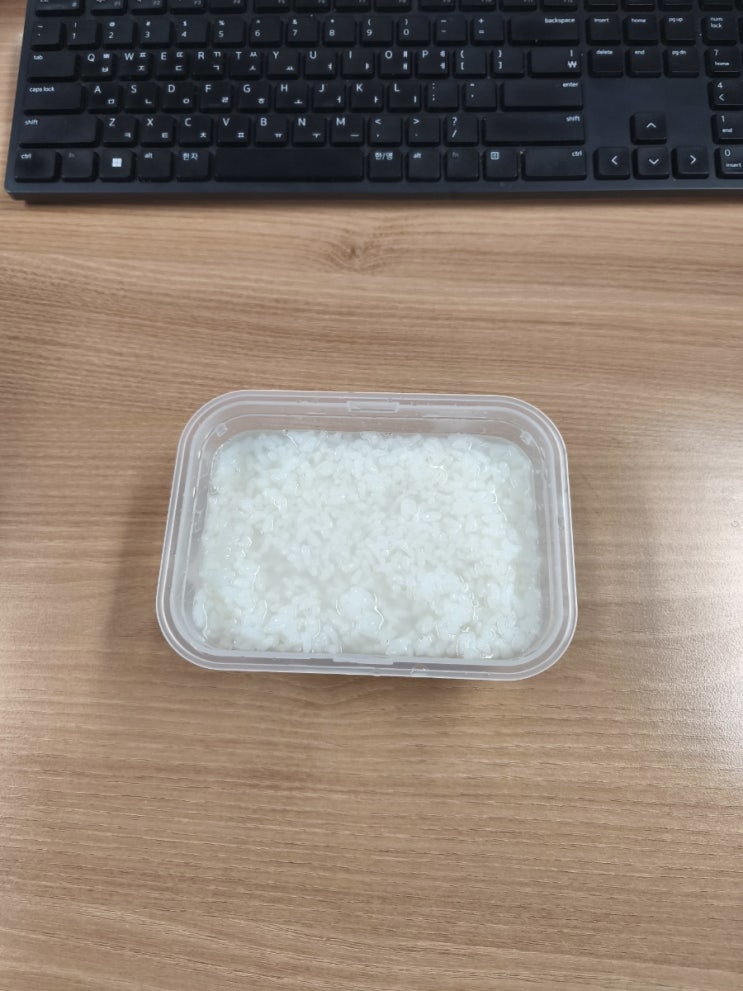  [오늘의 점심] 흰죽(내시경식단 마지막 날)