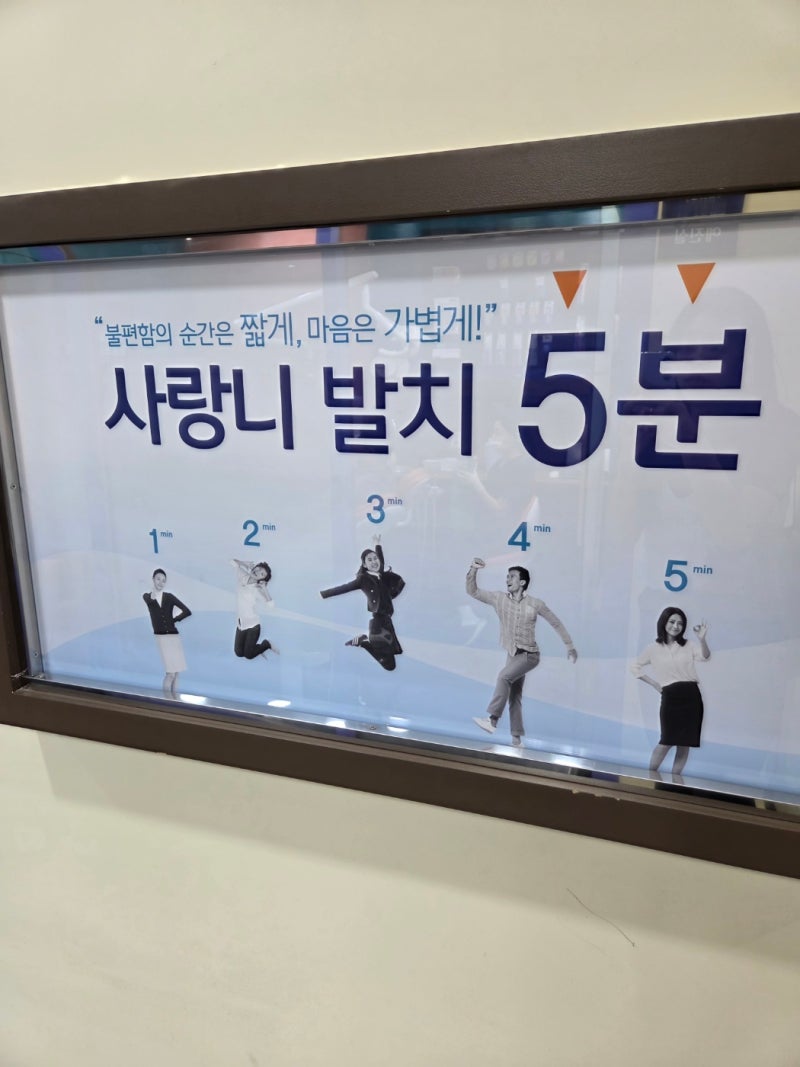(내돈내산)전주 효자동 사랑니 발치 전문 치과 추천
