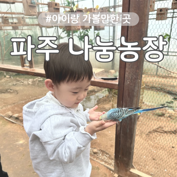  파주 나눔농장 아이랑 동물 먹이주기 체험 주말나들이 추천