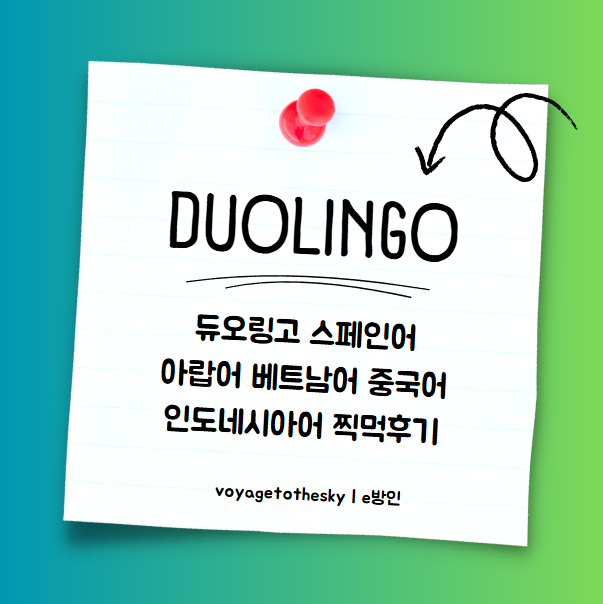  듀오링고 스페인어 인도네시아어 베트남어 중국어 아랍어 찍먹 후기