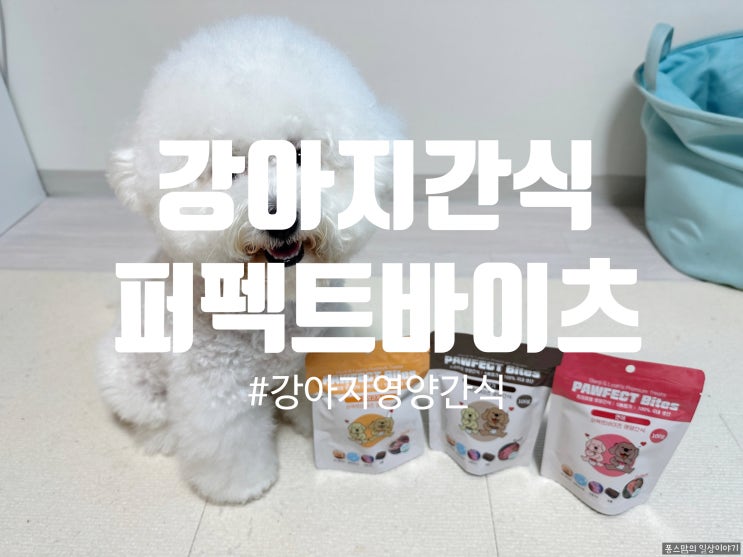 강아지영양간식 벤지앤레아 퍼펙트바이츠 급여후기