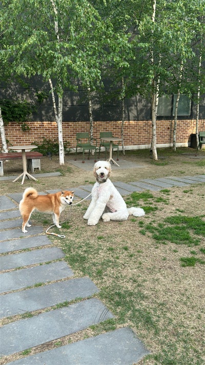 사진 3