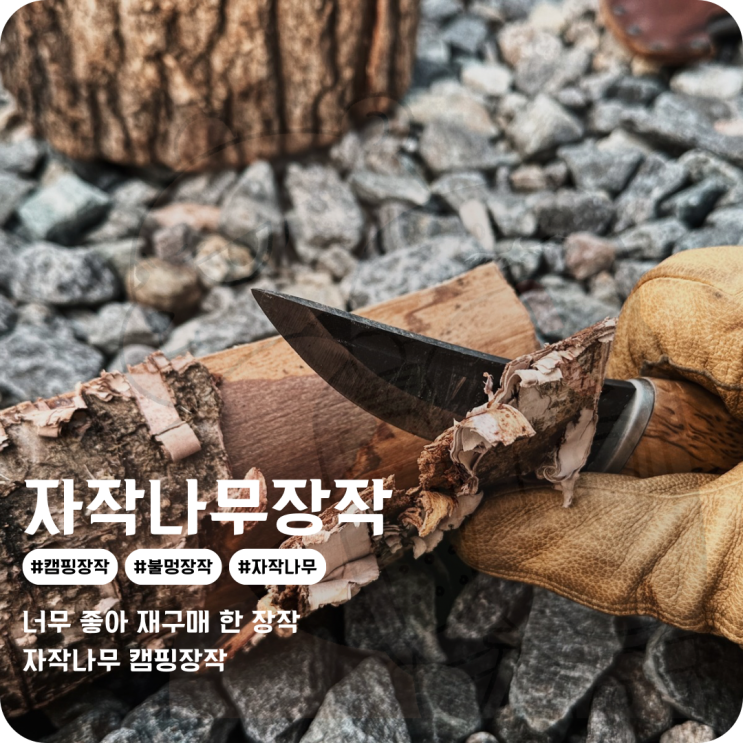  캠핑장작추천 시베리아 자작나무 장작 불멍하기 딱 좋아
