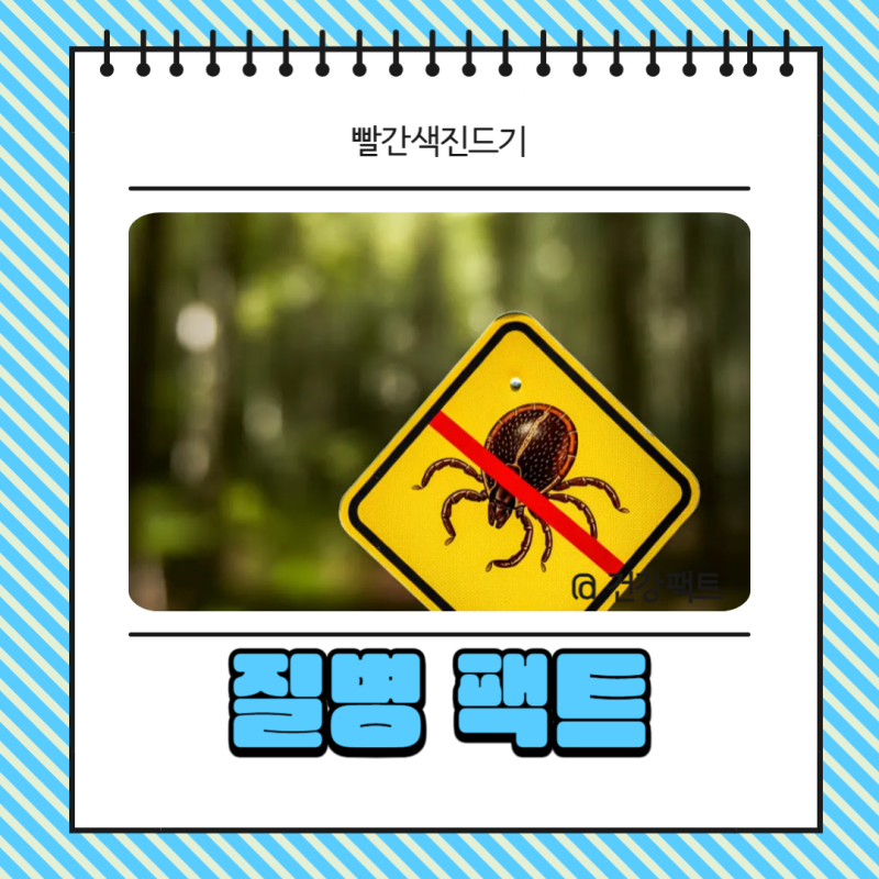 빨간색진드기 다카라다니 정체와 퇴치법 바로알기