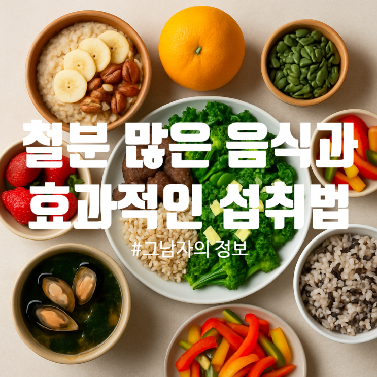  철분 부족 해결! 철분 많은 음식 15가지와 효과적인 섭취법 완전정리