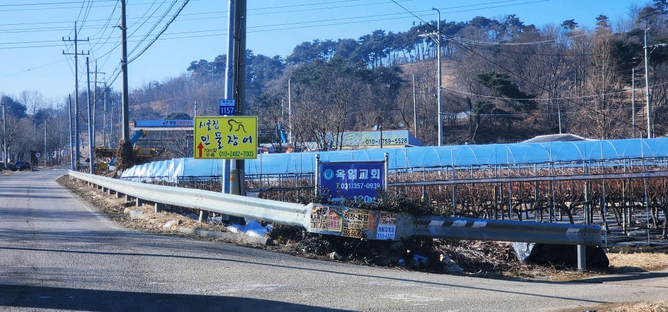 시골집민물장어 사진 2
