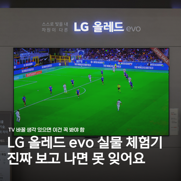  "와... 진짜 선명하다" LG 올레드 evo 신제품 체험 후기: LG전자 베스트샵 동대전본점에서 직접 확인