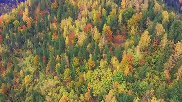  산업화기 문학의 매력, 그 시대의 소리