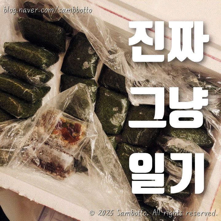  진짜 그냥 일기 | 메가커피에 드디어 수박이!! 쑥인절미 배송완료~ 저녁엔 양꼬치!