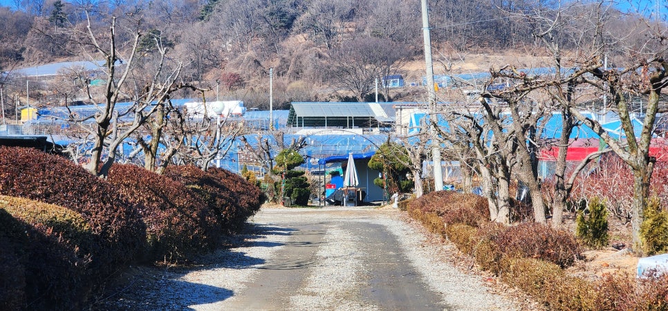 시골집민물장어 사진 3