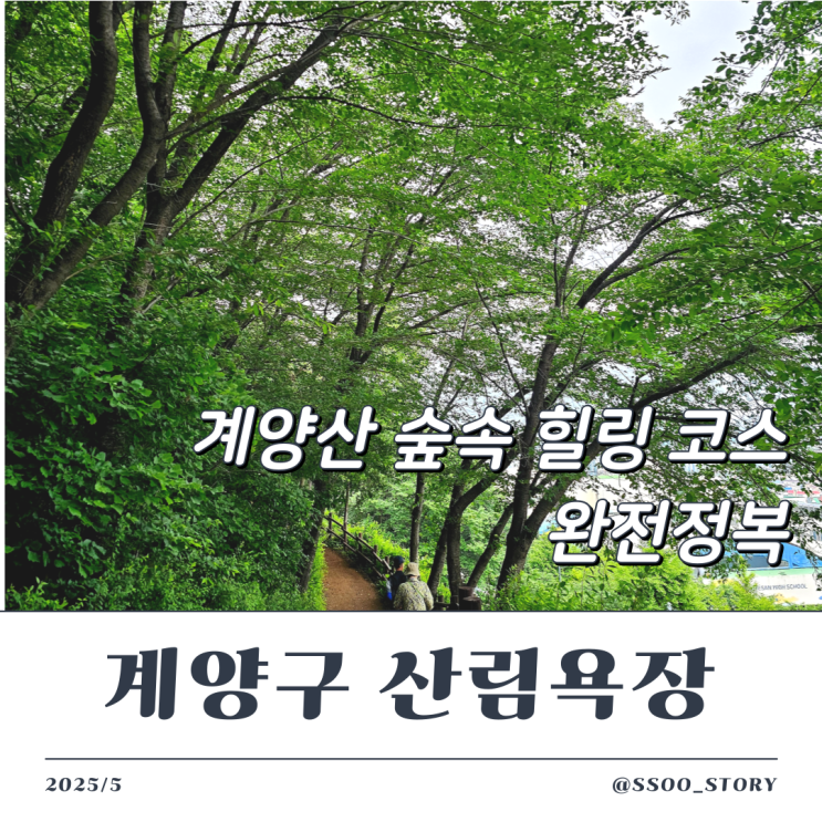 계양산 계양구 산림욕장 무장애길 출렁다리 가는 길