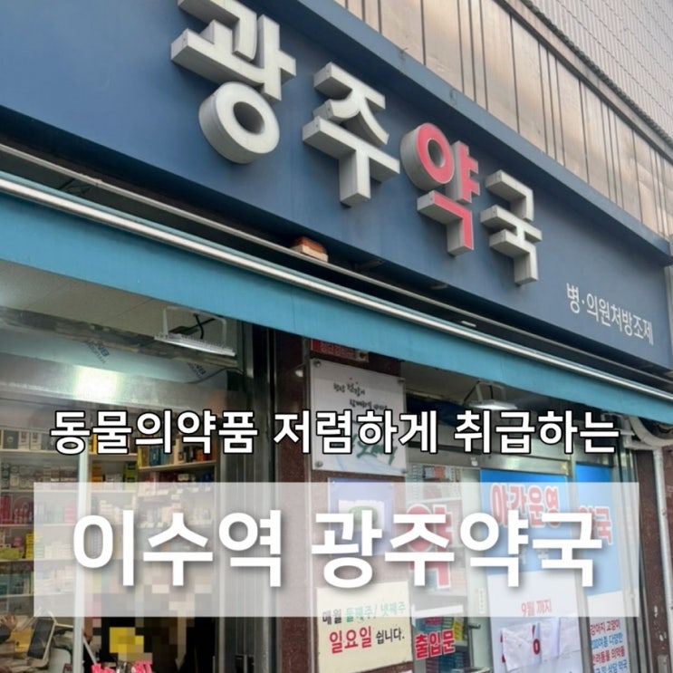  아포퀠 이수역 광주약국에서 온누리상품권으로 할인받기