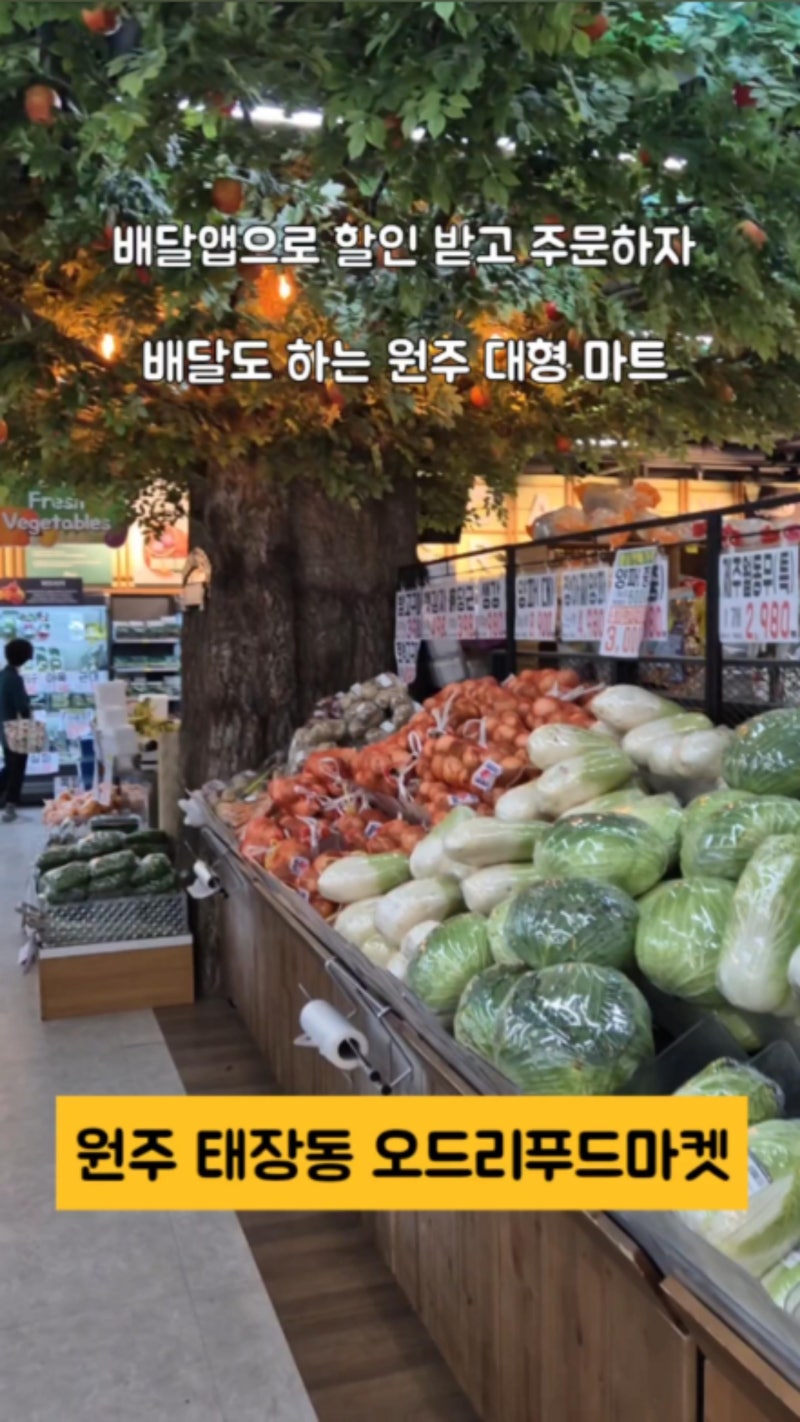 오드리푸드마켓 원주점에서 만난 신선한 청과의 즐거움