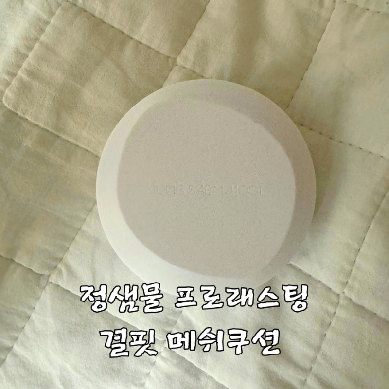 [내돈내산] 정샘물 프로래스팅결핏메쉬쿠션 21호 써봤어요~