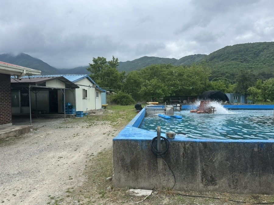 송어한마리 사진