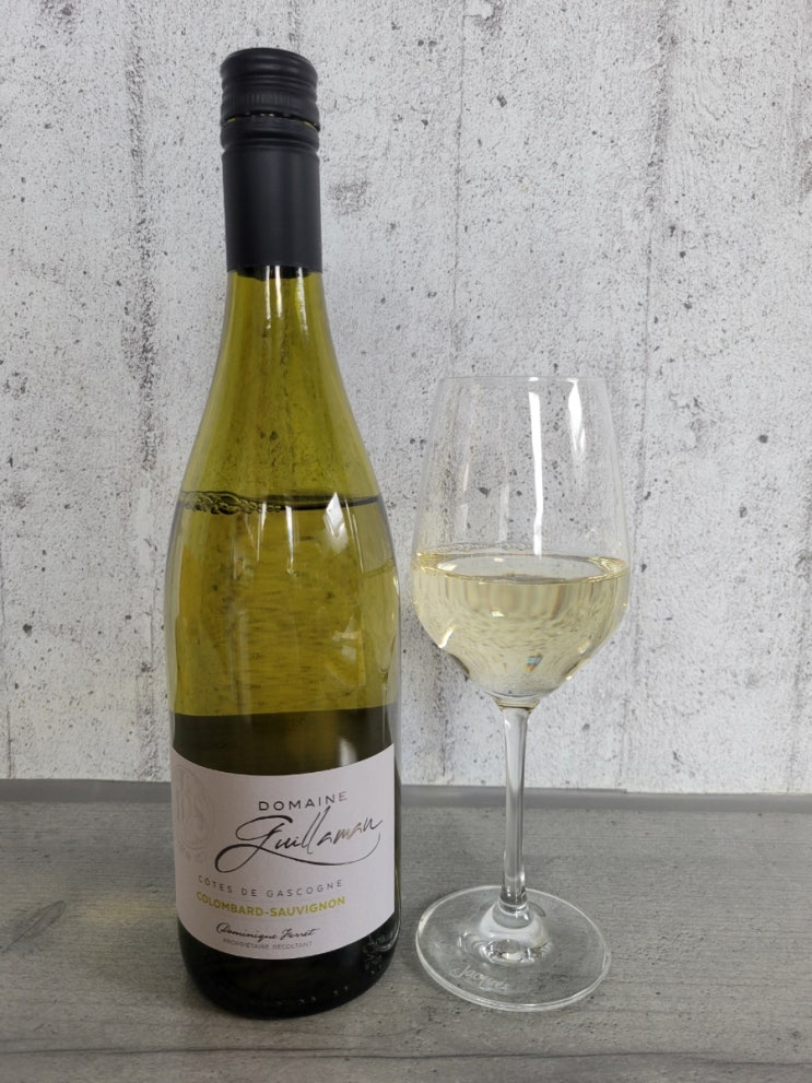  도멘 길라만 콜롬바드 소비뇽블랑 Domaine Guillaman Colombard Sauvignon Blanc 2024