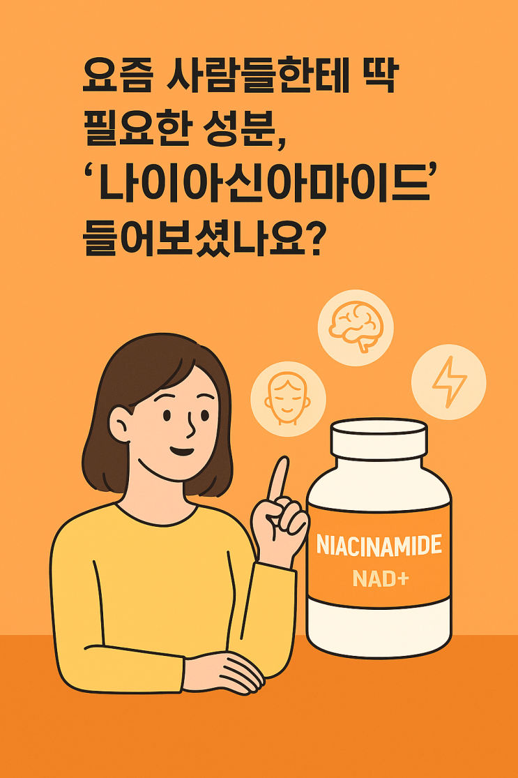  나이아신아마이드 효능 총정리_피부부터 뇌 건강까지 잡는 비타민 B3