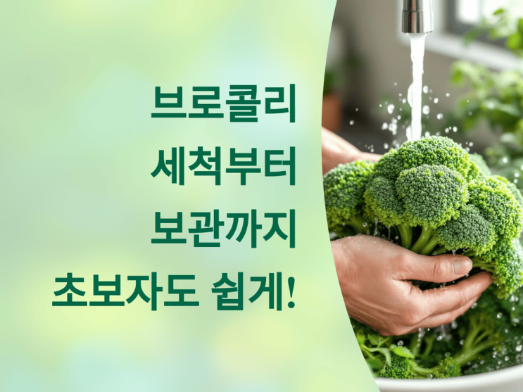  브로콜리 세척부터 보관까지, 초보자도 쉽게! 