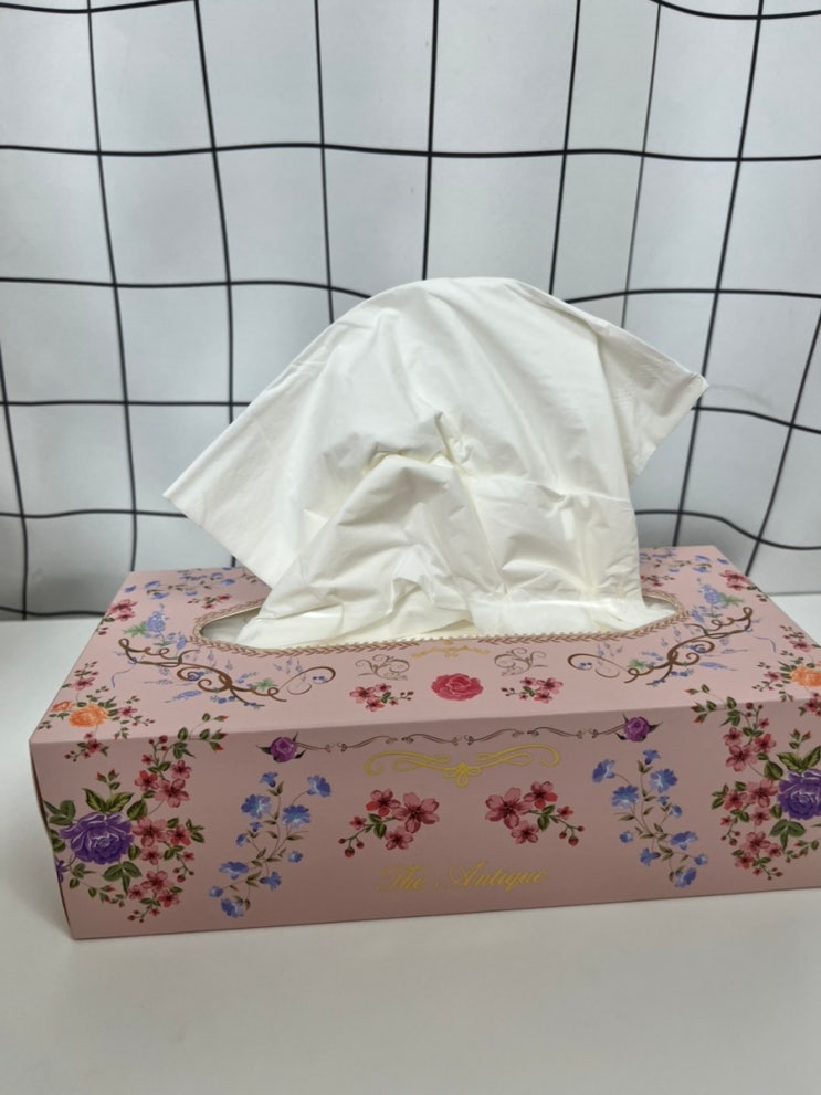  먼지 걱정 없는 촉촉한 미용티슈 찾는다면? 세로고침 엔틱 촉촉한 보습 미용티슈