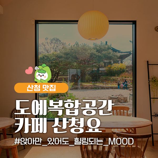 사진 6