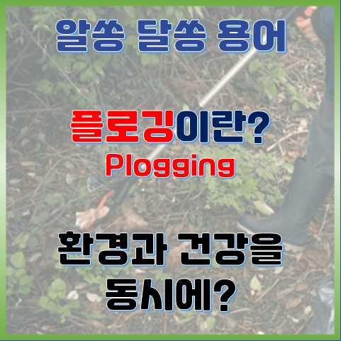 플로깅이란? 환경과 건강을 동시에 챙긴다? 플로깅이란? 환경과 건강을 동시에 챙긴다?